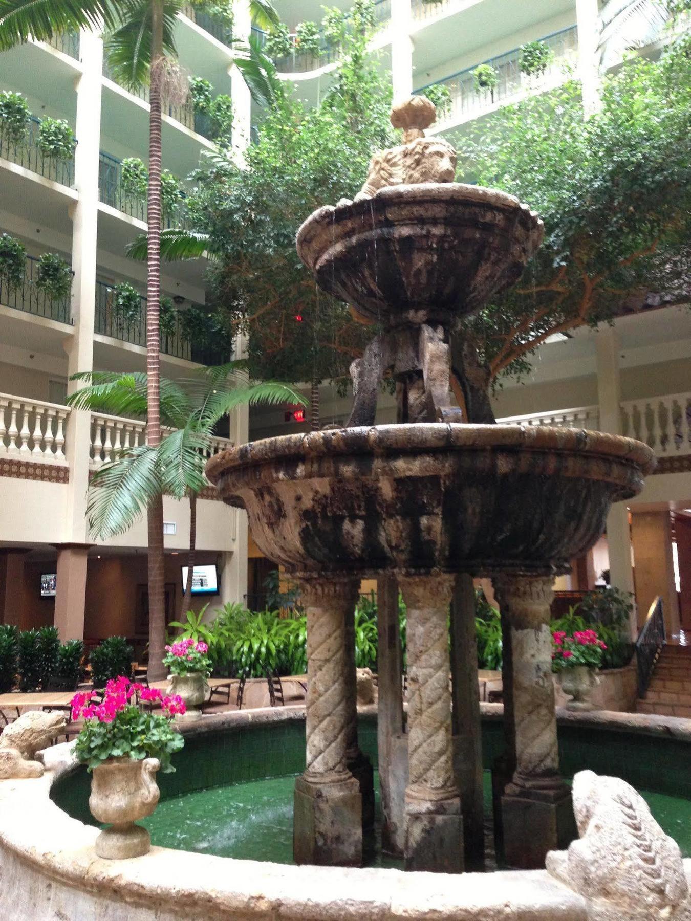 Doubletree By Hilton McAllen